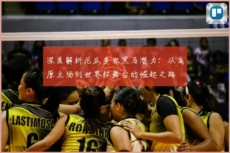深度解析厄瓜多尔黑马潜力：从高原主场到世界杯舞台的崛起之路