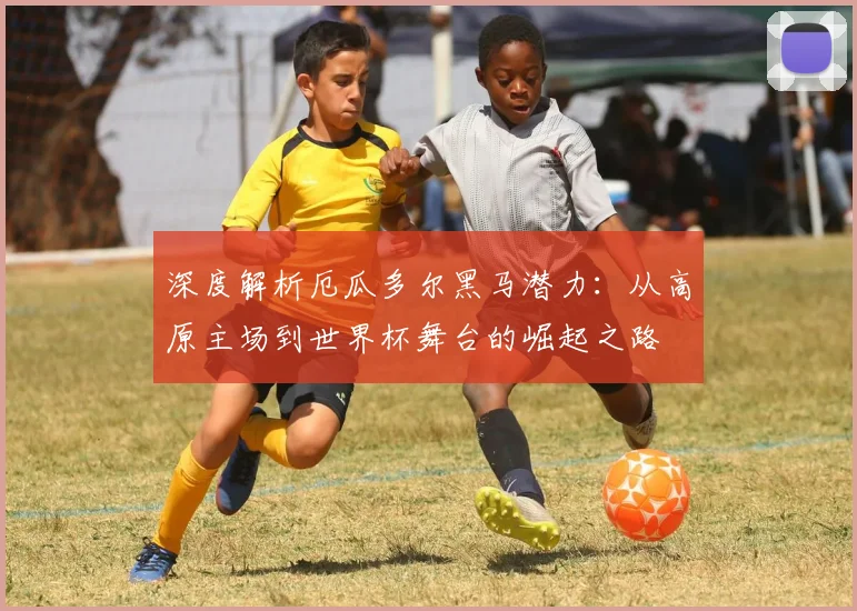 深度解析厄瓜多尔黑马潜力:从高原主场到世界杯舞台的崛起之路